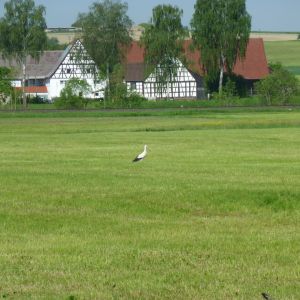 20120520 naturbilder 81 886dcd3c
