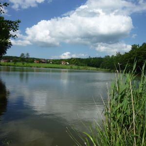 20120609 fleckenbachsee 12 3f932302