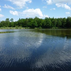 20120609 fleckenbachsee 15 141fbf0e