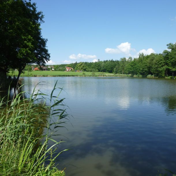 20120609 fleckenbachsee 19 d08cf65c