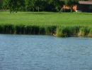 20120609 fleckenbachsee 22 36280b21