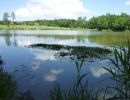 20120609 fleckenbachsee 27 e76424e4