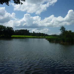 20120609 fleckenbachsee 7 31603605