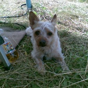 20120609 jugendzeltlager 9 bcf7ccb2