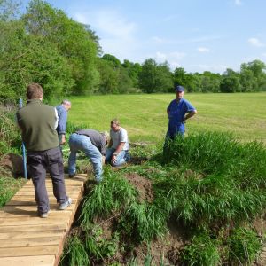 20120614 brueckenbau jagst 12 00b9f89a