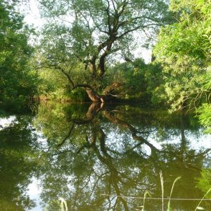 20120621 jagst 7 1f01a1d2