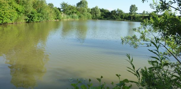 20120622 loeffelstelzweiher 11 d84a1732