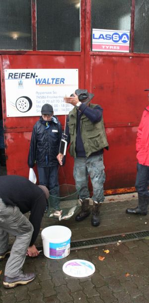 20121007 abfischen jagst 1 cf6049fe