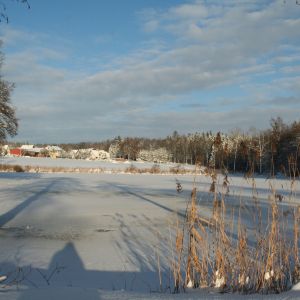 20121212 fleckenbachsee 37 eb61addc