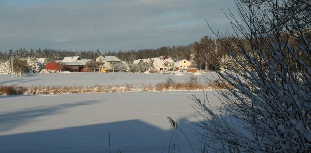 20121212 fleckenbachsee 42 f629701c