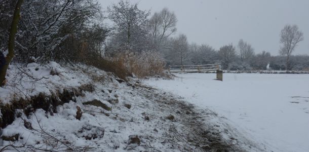 201301   sanierung loeffelstelzweiher 10 a806326c