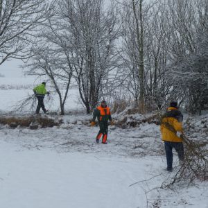 201301   sanierung loeffelstelzweiher 11 dfa8142b