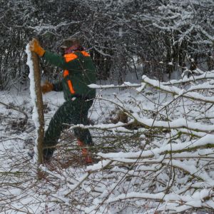 201301   sanierung loeffelstelzweiher 12 39606dab