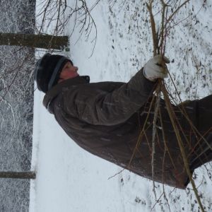 201301   sanierung loeffelstelzweiher 15 6073267b