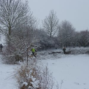 201301   sanierung loeffelstelzweiher 17 8c396bd8