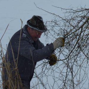 201301   sanierung loeffelstelzweiher 19 08e4eba2
