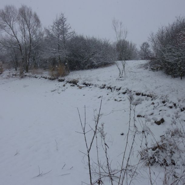 201301   sanierung loeffelstelzweiher 2 ab731d6f