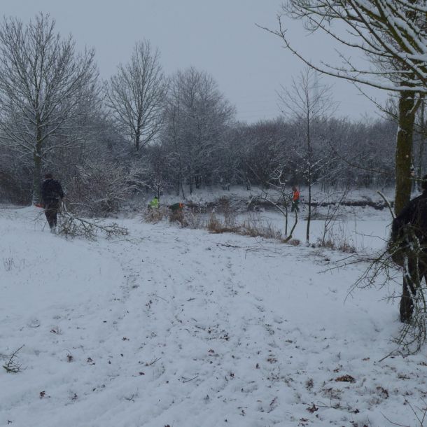 201301   sanierung loeffelstelzweiher 20 de19e4d9