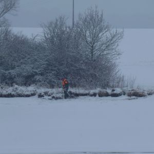 201301   sanierung loeffelstelzweiher 21 dca08b63