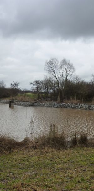 201301   sanierung loeffelstelzweiher 22 13b8fecf