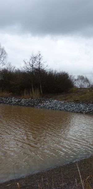 201301   sanierung loeffelstelzweiher 23 882551ab