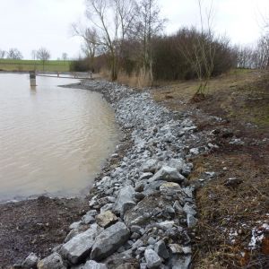 201301   sanierung loeffelstelzweiher 25 ecf766ea