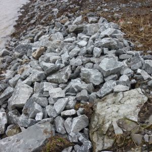 201301   sanierung loeffelstelzweiher 27 633037d5