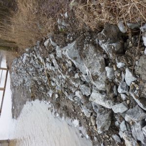 201301   sanierung loeffelstelzweiher 28 c743429f