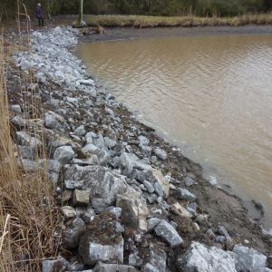 201301   sanierung loeffelstelzweiher 29 17da5fb0