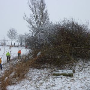 201301   sanierung loeffelstelzweiher 3 be3445ab