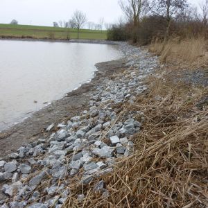 201301   sanierung loeffelstelzweiher 30 be43c926