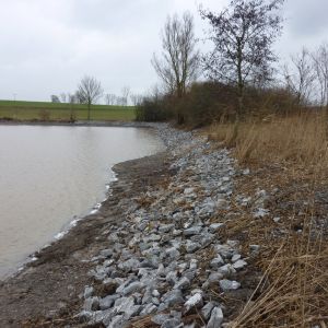 201301   sanierung loeffelstelzweiher 31 ac47ab2a