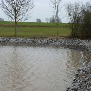 201301   sanierung loeffelstelzweiher 34 77828ae8