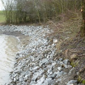 201301   sanierung loeffelstelzweiher 35 3e3ac972