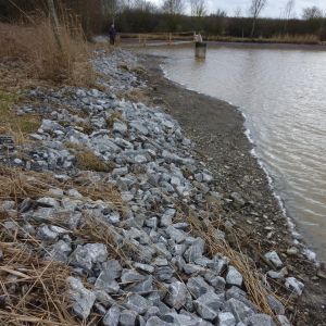 201301   sanierung loeffelstelzweiher 36 010d8507