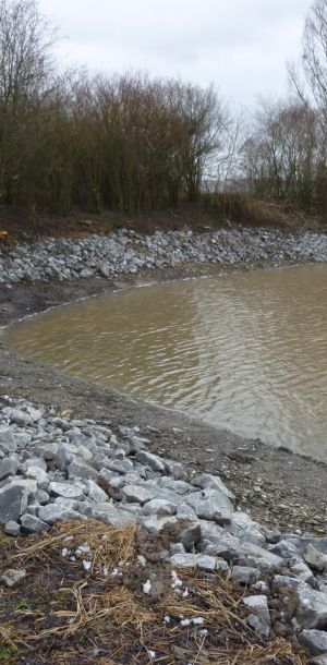 201301   sanierung loeffelstelzweiher 37 233d2e3a