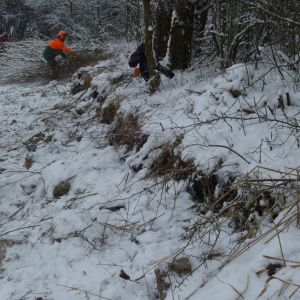 201301   sanierung loeffelstelzweiher 5 7543dba3