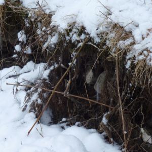 201301   sanierung loeffelstelzweiher 6 7dedc994