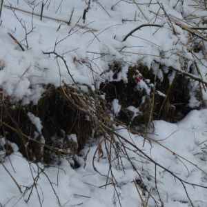 201301   sanierung loeffelstelzweiher 7 c7503d70