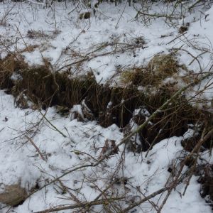 201301   sanierung loeffelstelzweiher 8 426579fe