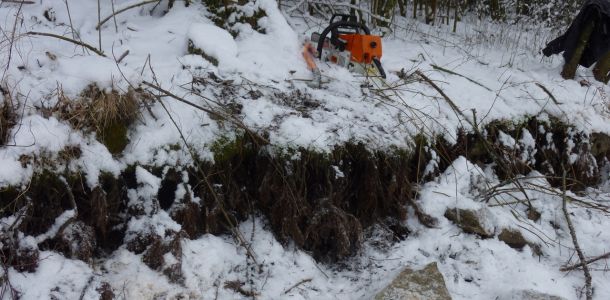 201301   sanierung loeffelstelzweiher 9 405064f7