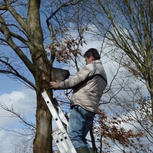 20130309 bachputzete 11 5553462a