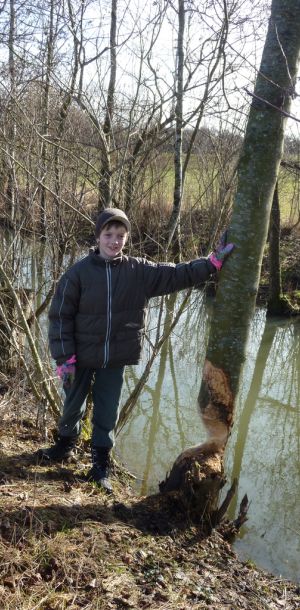 20130309 bachputzete 7 d30c53ed