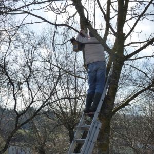 20130309 bachputzete 9 3c434087