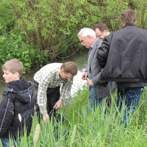 20130517 wiederansiedlungsprojekt bachforelle 12 eddcc3a9