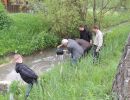 20130517 wiederansiedlungsprojekt bachforelle 13 e3b273a2