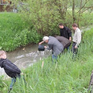 20130517 wiederansiedlungsprojekt bachforelle 13 e3b273a2