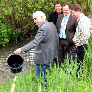 20130517 wiederansiedlungsprojekt bachforelle 15 8f9d8e13