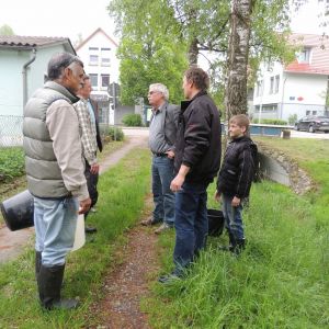 20130517 wiederansiedlungsprojekt bachforelle 18 7a743c50