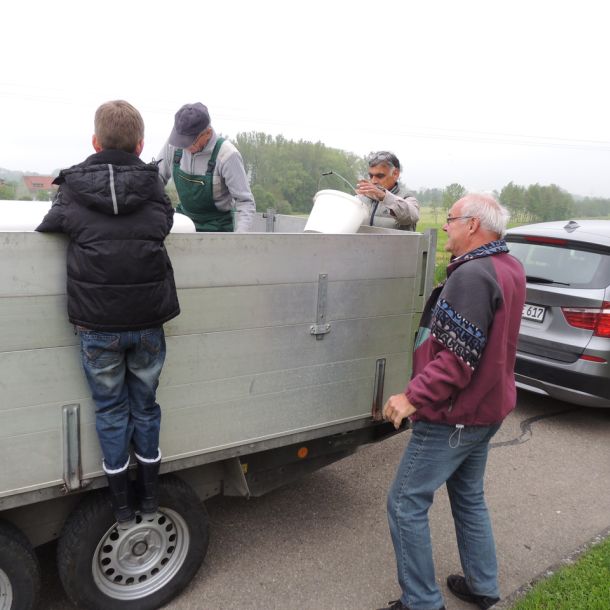 20130517 wiederansiedlungsprojekt bachforelle 20 a87197be